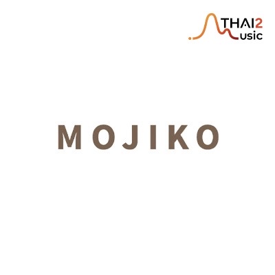 จ้าง MOJIKO (โมจิโกะ) : สไปร์ซซี่ ดิสก์
