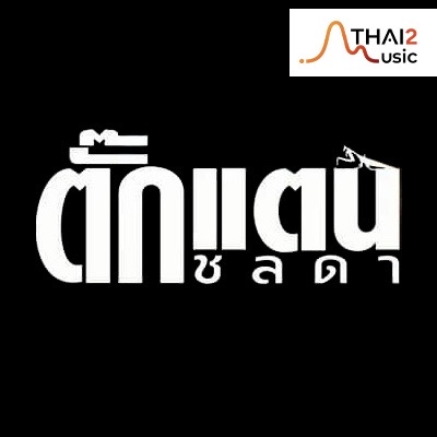 จ้าง Takkatan Chollada (ตั๊กแตน ชลดา) : อื่นๆ