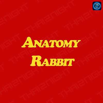 จ้าง อนาโตมี แรบบิท,จ้าง Anatomy Rabbit : Other (อื่นๆ)