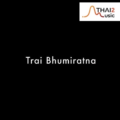 จ้าง Boy Trai Bhumiratna (บอย ตรัย) : สไปร์ซซี่ ดิสก์