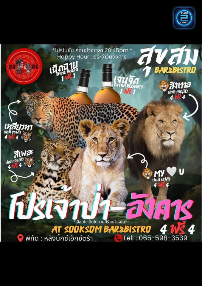 Promotion : Sooksomsoi4 (สุขสม Bar & Bistro) : Chiang Mai (เชียงใหม่)