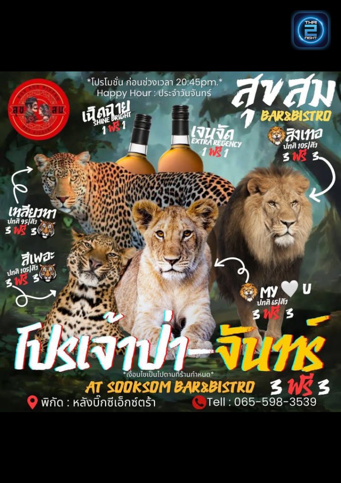 Promotion : Sooksomsoi4 (สุขสม Bar & Bistro) : Chiang Mai (เชียงใหม่)