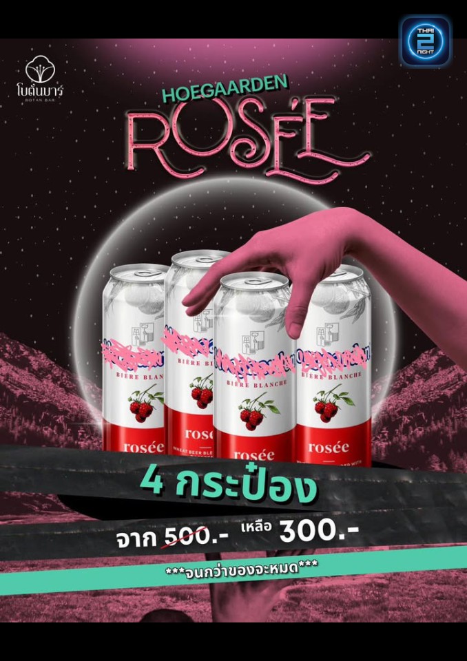 Promotion : BOTAN BAR Live music (BOTAN BAR Live music) : เชียงใหม่ (Chiang Mai)