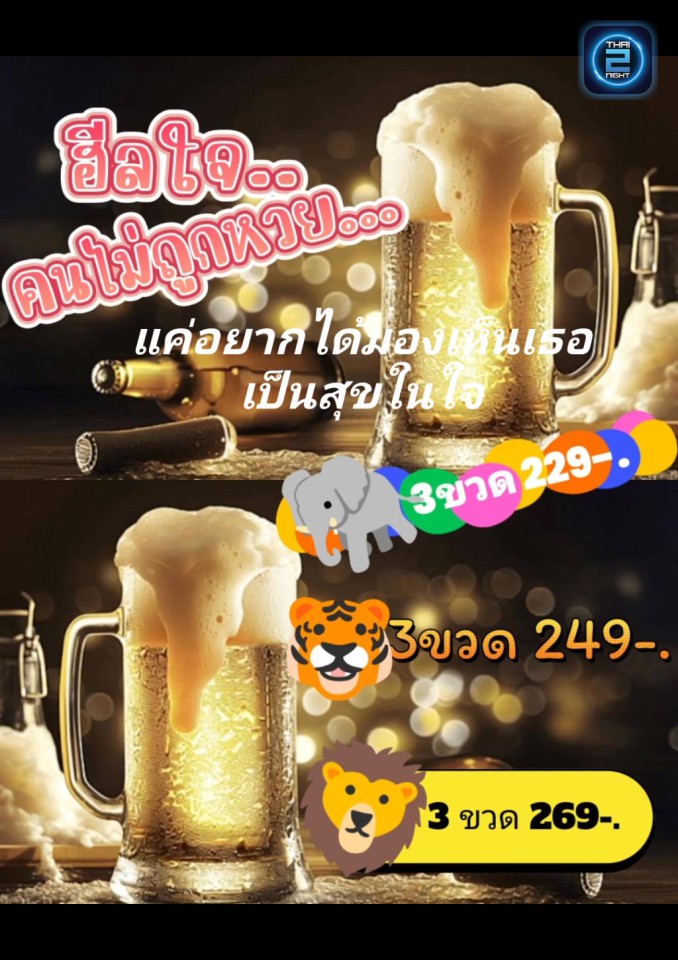 Promotion : อินเลิฟคาเฟ่ & มิวสิค - สาขา2 ถนนเหล่านาดี ขอนแก่น (อินเลิฟคาเฟ่ & มิวสิค - สาขา2 ถนนเหล่านาดี ขอนแก่น) : ขอนแก่น (Khon Kaen)