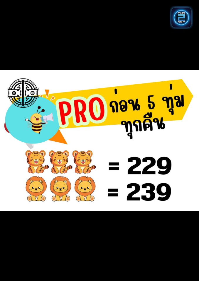 Promotion : Hobbit Bar Khonkean (Hobbit Bar Khonkean) : ขอนแก่น (Khon Kaen)