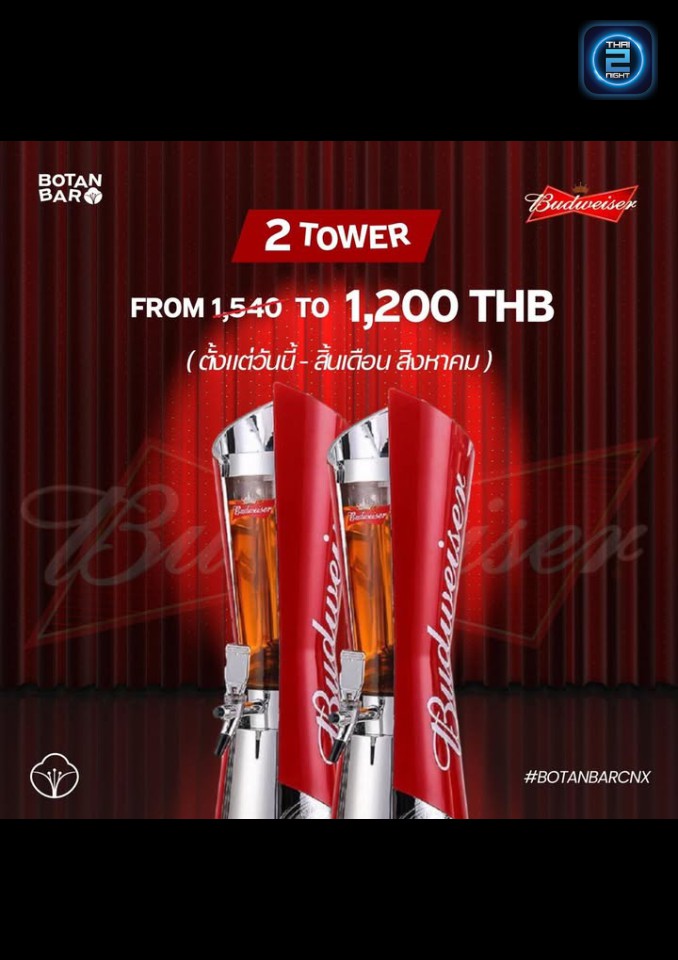 Promotion : BOTAN BAR Live music (BOTAN BAR Live music) : เชียงใหม่ (Chiang Mai)