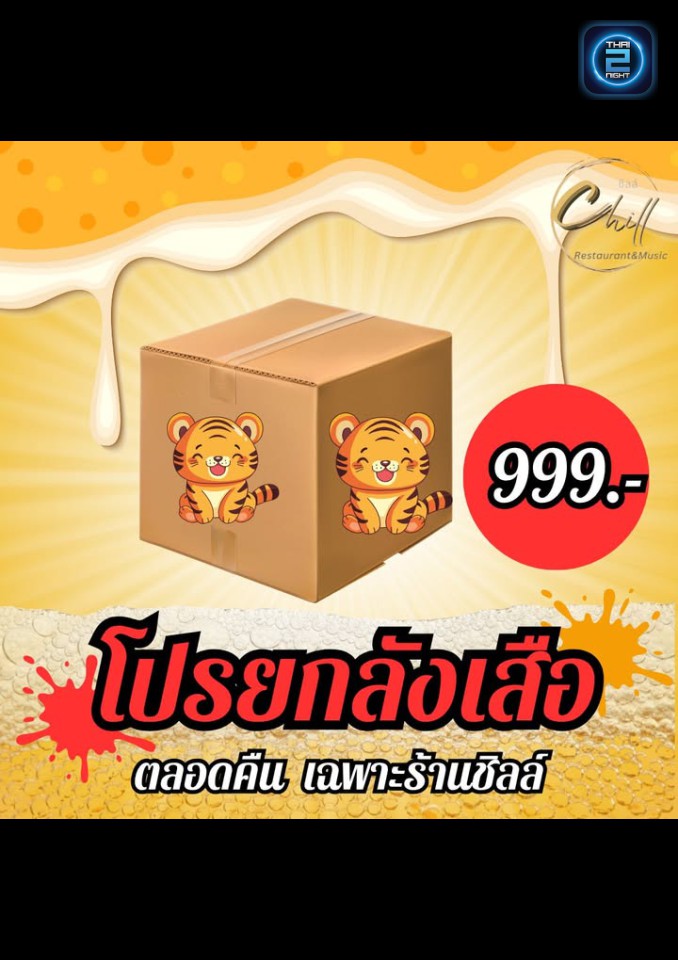 Promotion : Shock Feel (Shock Feel) : พิจิตร (Phichit)