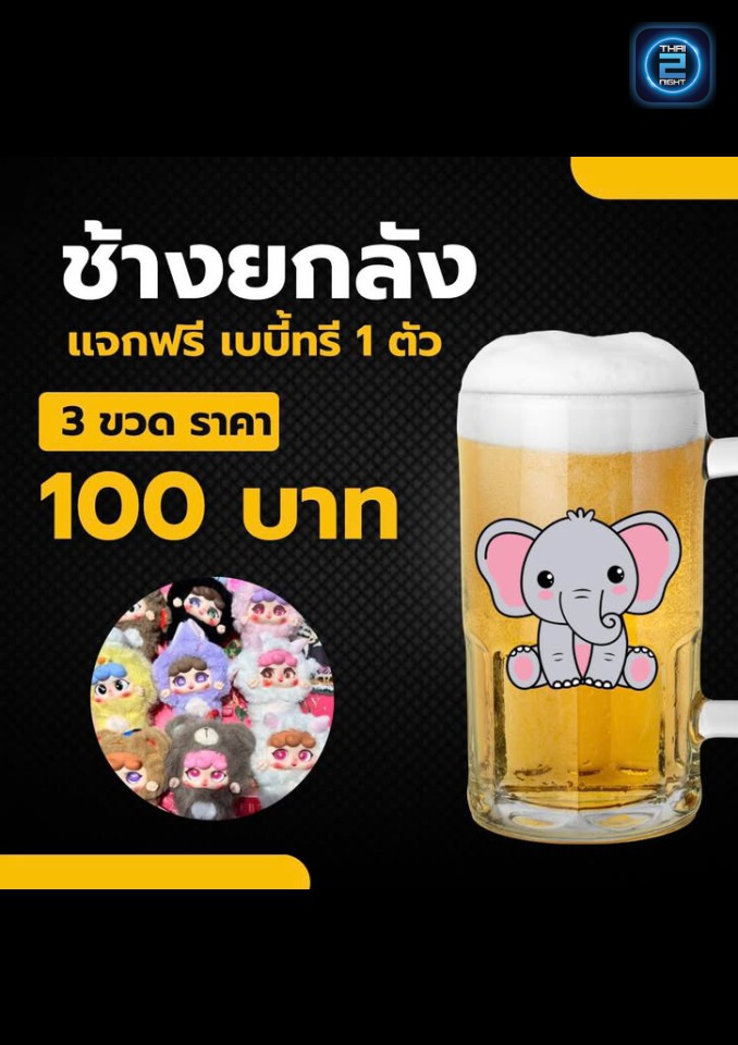 Promotion : เซฟโซน มหาสารคาม (Safezone.msk) : มหาสารคาม (Maha Sarakham)