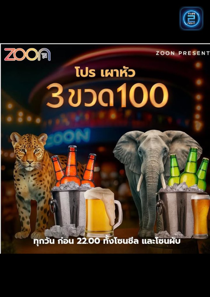 Promotion : ซูน (ZOON) : นครราชสีมา (Nakhon Ratchasima)