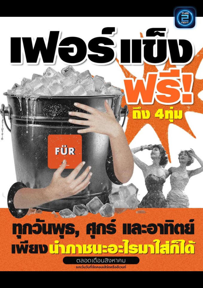 Promotion : FUR CAFE CNX (FUR CAFE CNX) : Chiang Mai (เชียงใหม่)