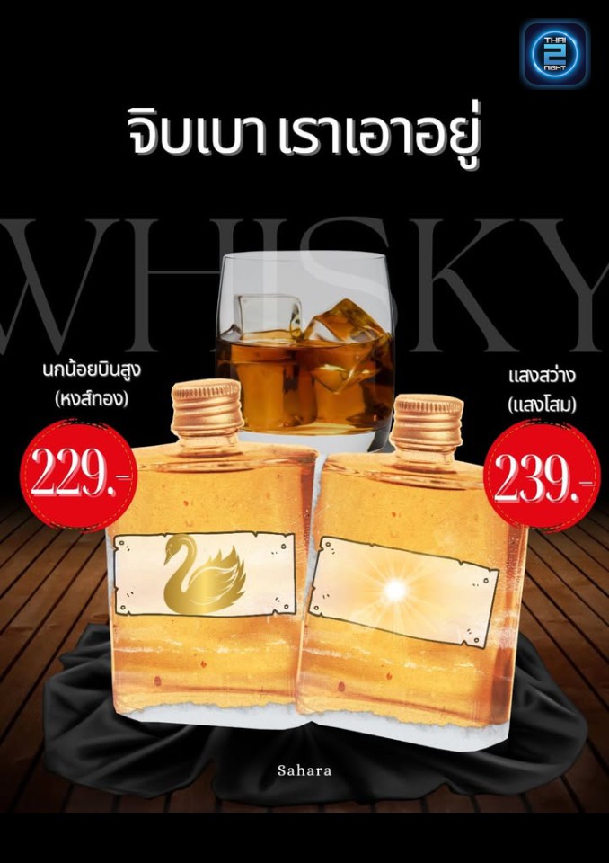 Promotion : Sahara Café Bar&Bistro (Sahara Café Bar&Bistro) : สุรินทร์ (Surin)