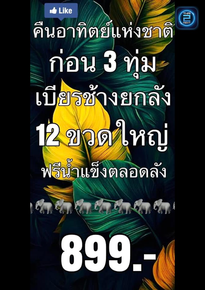 Promotion : Jamrock Cafe' (Jamrock Cafe') : เพชรบูรณ์ (Phetchabun)