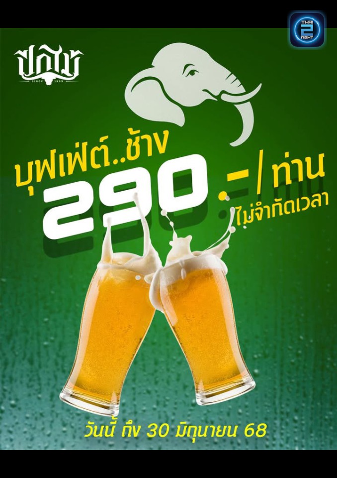 Promotion : ปีกไม้ เพลงเพื่อชีวิต (Peek Mai) : สระบุรี (Saraburi)