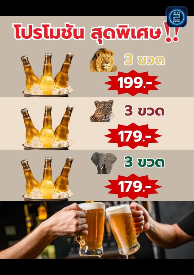 Promotion : Worm (วอร์ม) : Khon Kaen (ขอนแก่น)