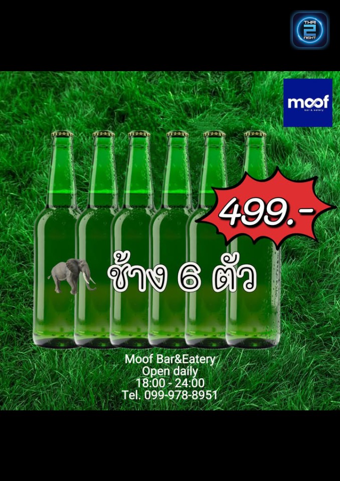 Promotion : Moof bar&eatery (Moof bar&eatery) : ระยอง (Rayong)