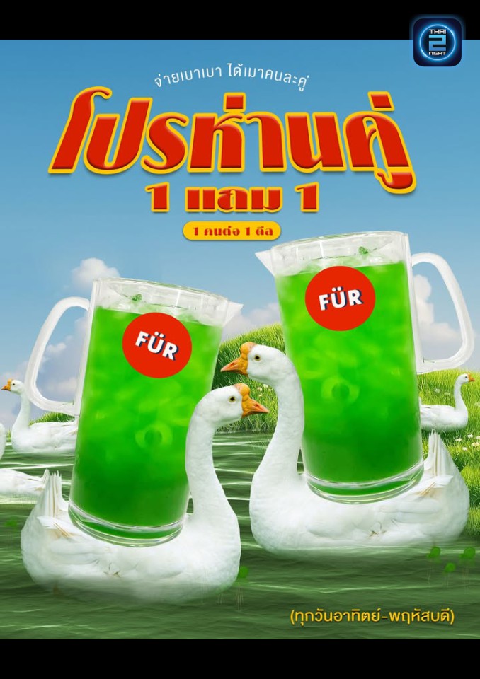 Promotion : FUR CAFE CNX (FUR CAFE CNX) : Chiang Mai (เชียงใหม่)