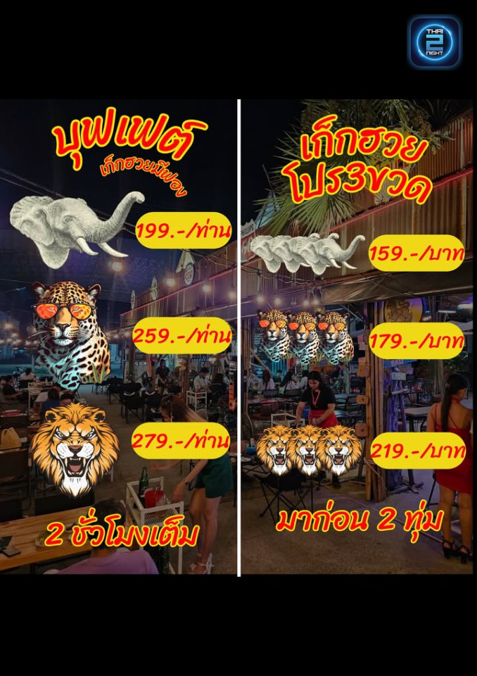 Promotion : SeaCamp Bar • Ayutthaya (SeaCamp Bar • Ayutthaya) : พระนครศรีอยุธยา (Phra Nakhon Si Ayutthaya)