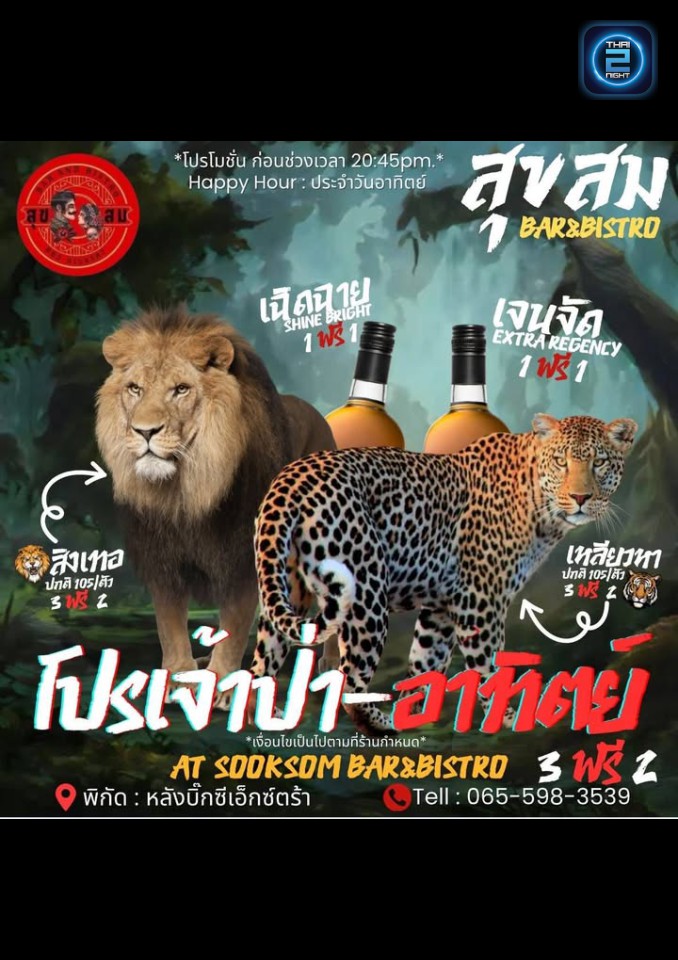 Promotion : Sooksomsoi4 (สุขสม Bar & Bistro) : Chiang Mai (เชียงใหม่)