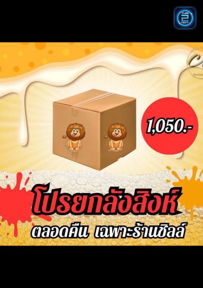 Promotion : Shock Feel (Shock Feel) : พิจิตร (Phichit)