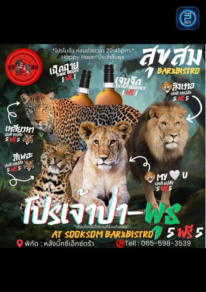 Promotion : Sooksomsoi4 (สุขสม Bar & Bistro) : Chiang Mai (เชียงใหม่)