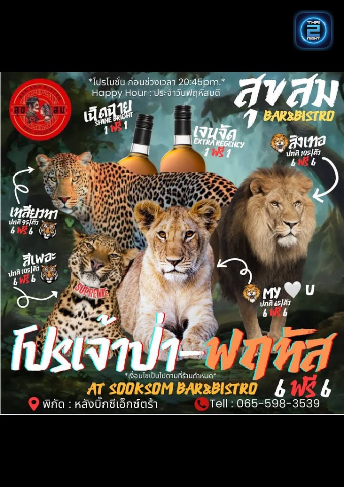 Promotion : Sooksomsoi4 (สุขสม Bar & Bistro) : Chiang Mai (เชียงใหม่)