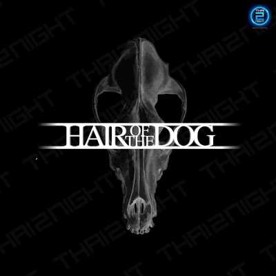 Hair of the Dog (แฮร์ ออฟ เดอะ ด็อก) : Bangkok (กรุงเทพมหานคร)