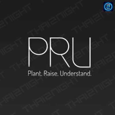 PRU Restaurant (พรุ เรสเตอรองท์) : Phuket (ภูเก็ต)