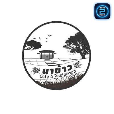 นาข้าวคาเฟ่สุรินทร์ : สุรินทร์
