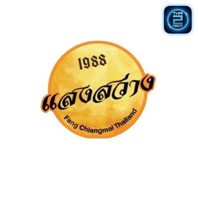 แสงสว่าง1988 : เชียงใหม่