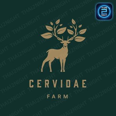 เซอร์วิเด (Cervidaefarm) : ตรัง (Trang)