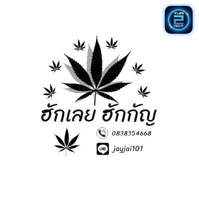 ฮักเลย ฮักกัญ -ຮັກເລີຍ ຮັກກັນ : เลย