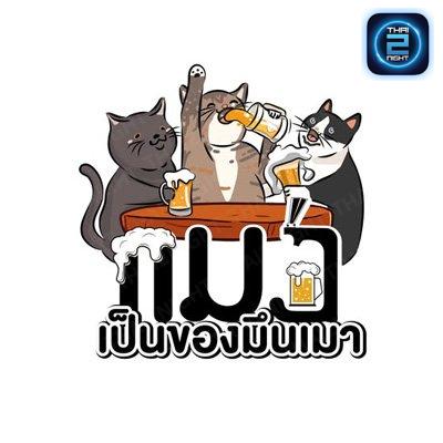 แมว เป็นของมึนเมา : Chon Buri