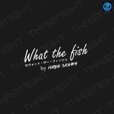 What The Fish (What The Fish) : Songkhla (สงขลา)