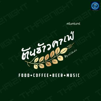 ต้นข้าวคาเฟ่ (Tonkow Cafe) : สมุทรปราการ (Samut Prakan)