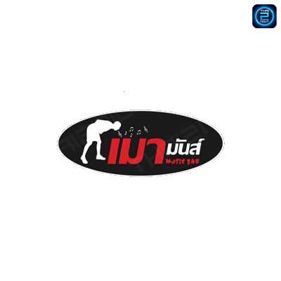 เมามันส์ - Music Bar : สมุทรสงคราม