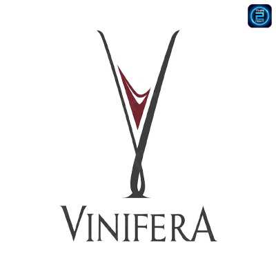 Vinifera (Vinifera) : กรุงเทพมหานคร (Bangkok)