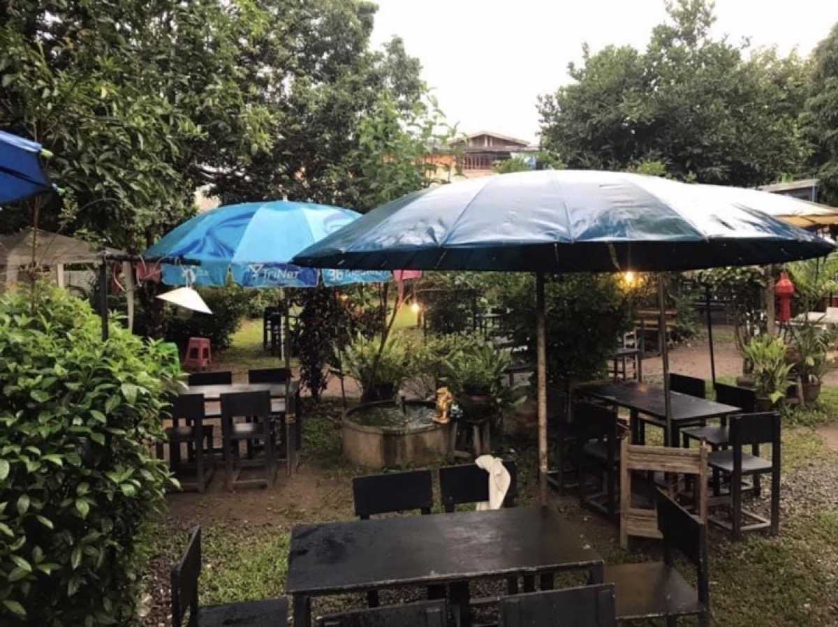 TERG Bar - เติรก์ บาร์ : เชียงใหม่