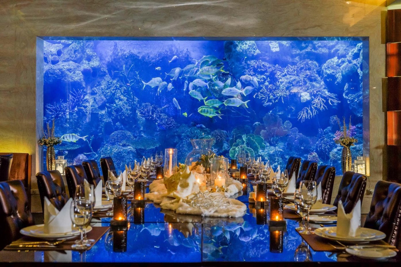 Copper Aquarium Restaurant : กรุงเทพมหานคร