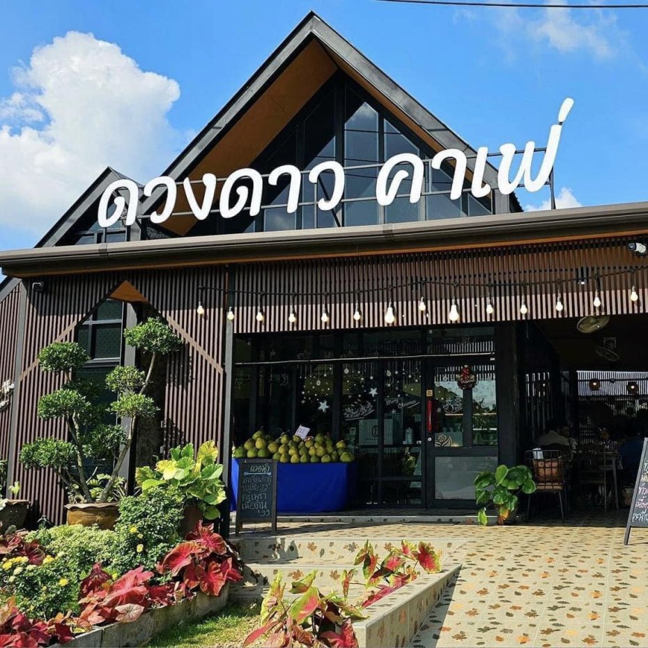 Doungdao cafe : Chumphon