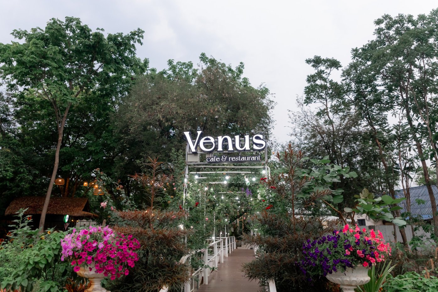 Venus Cafe&Restaurant-Khonkaen : ขอนแก่น