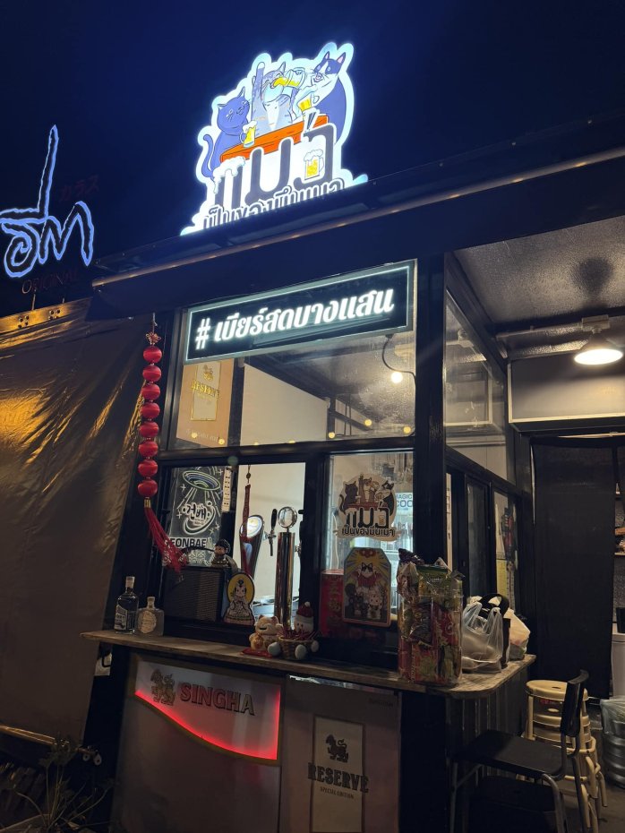 แมว เป็นของมึนเมา : Chon Buri