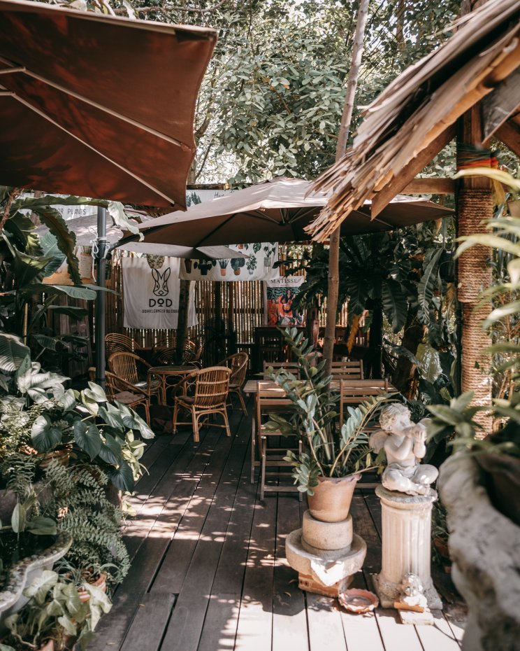 Hidden Tree Garden : สมุทรสงคราม