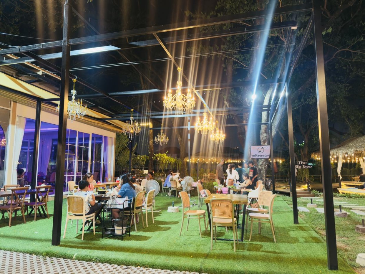 เดอะ บิ๊ก ทรี : นนทบุรี