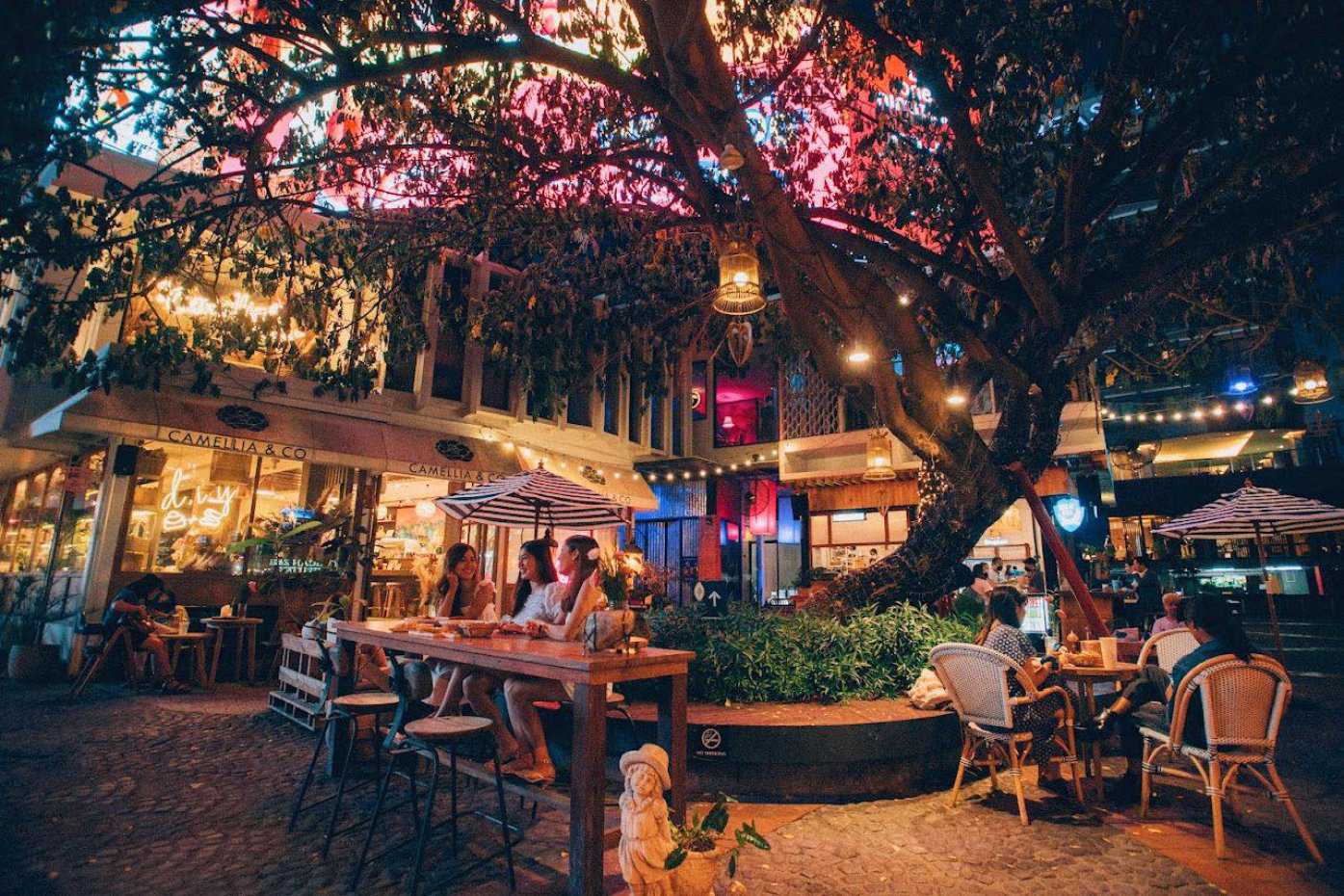 The camellia cafe & music bar : เชียงใหม่