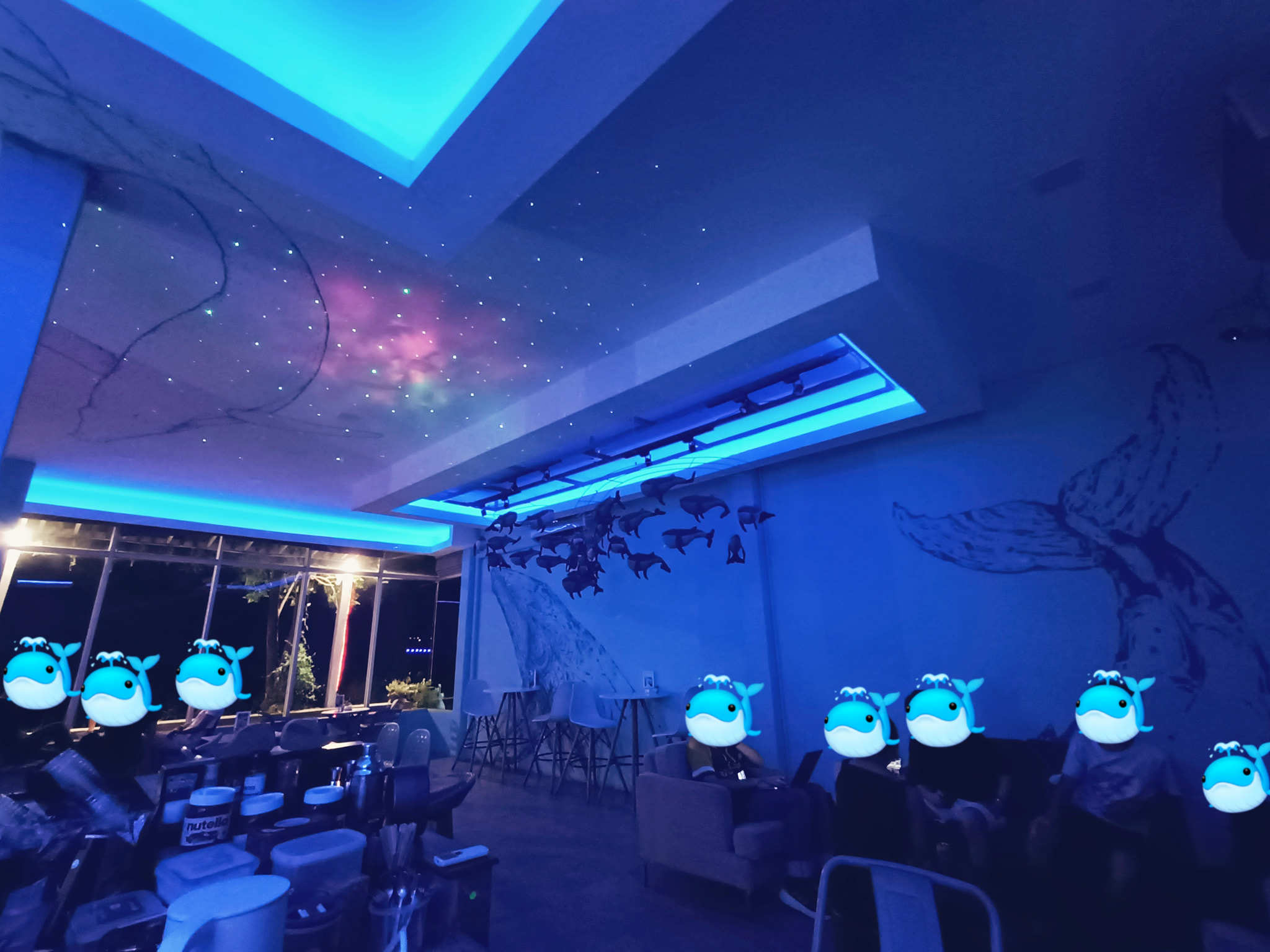 Whale space cafe (สวนอาหาร ชีวาฬคาเฟ่ มหาสารคาม) : Maha Sarakham (มหาสารคาม)