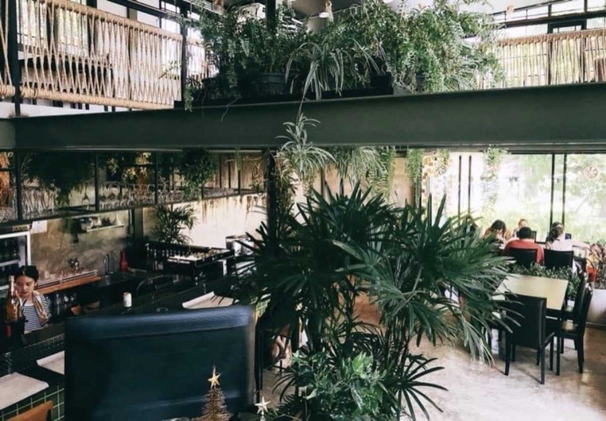 ไวนด์ คอฟฟี่ บาร์ แอนด์ เรสเทอรองท์