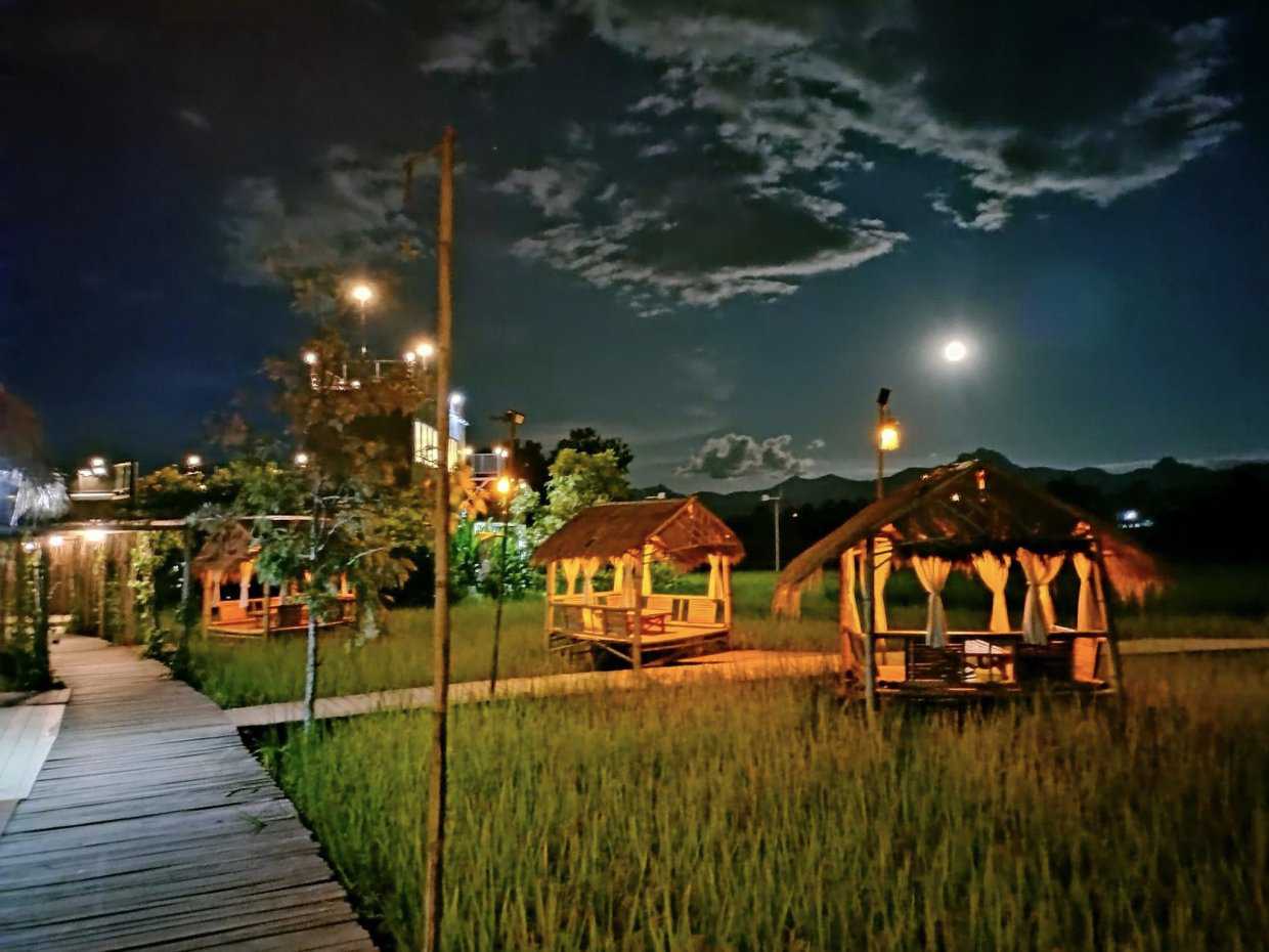 โกรว์ธ โซน