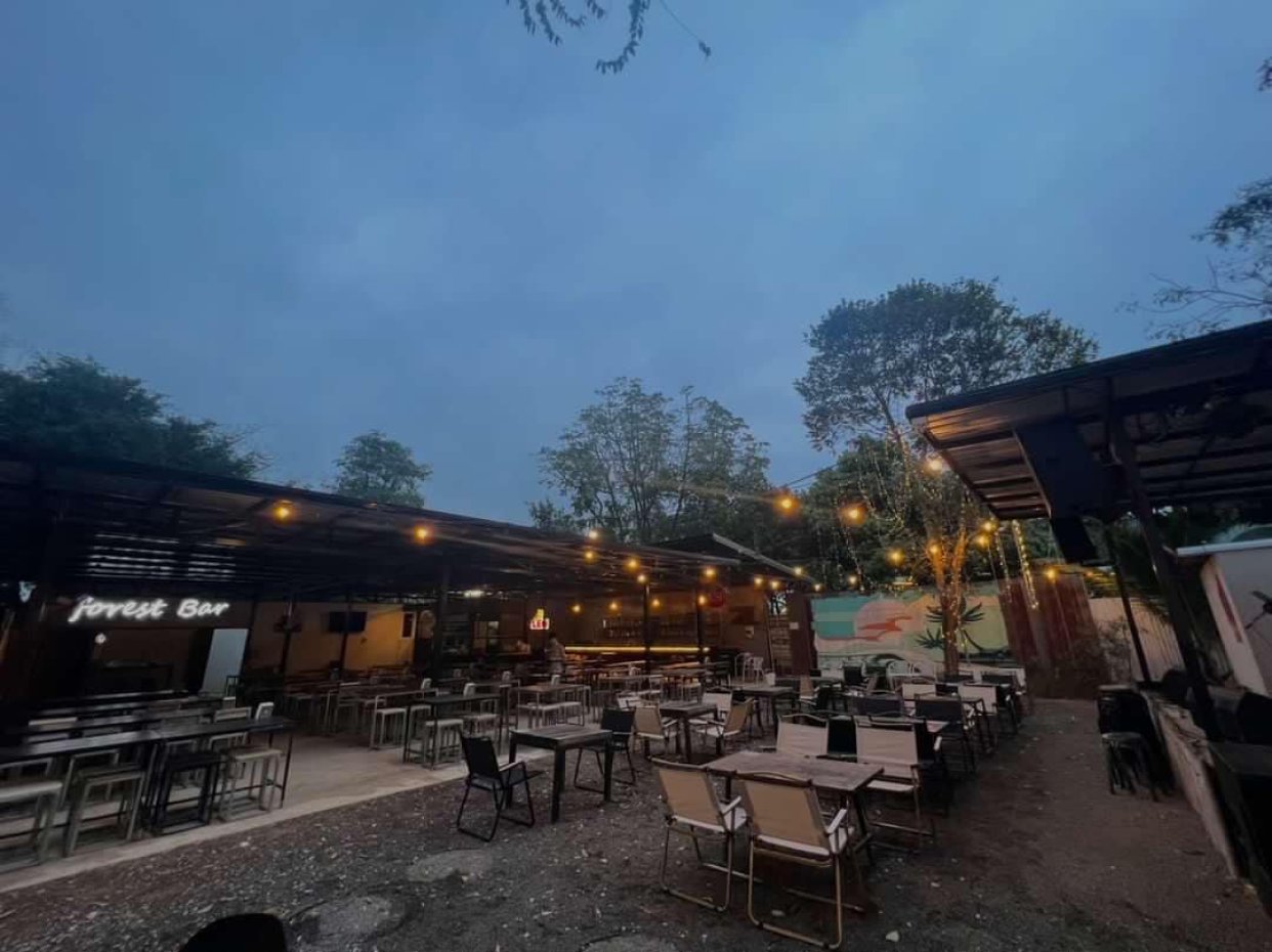 ฮาวาย โซน ฟอเรสท์