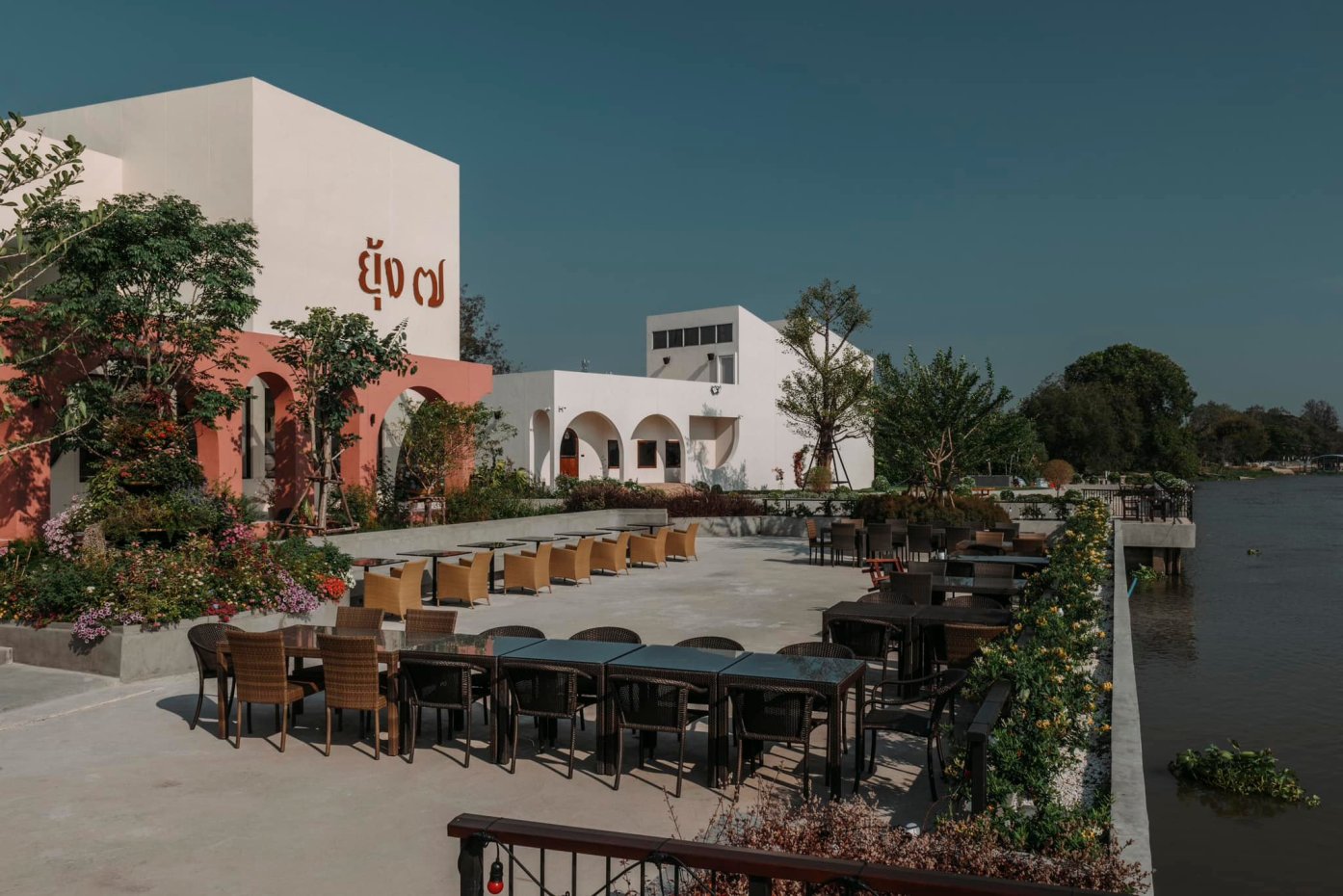 ยัง เซเว่น