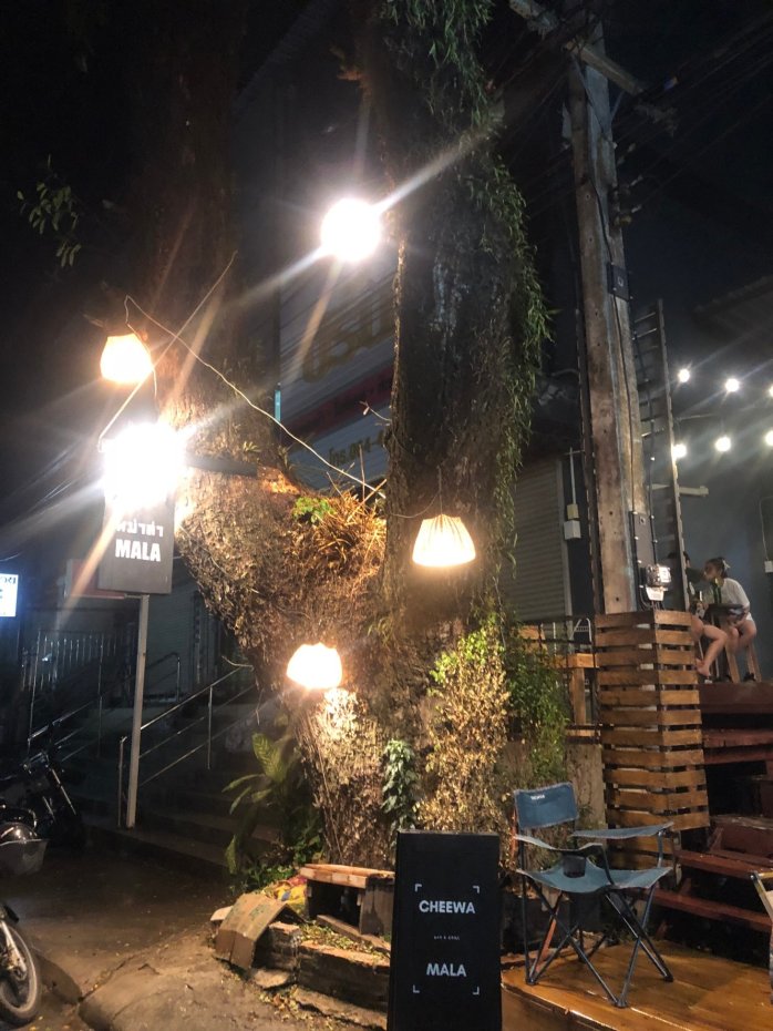 ชีวาหม่าล่า บาร์&กริล